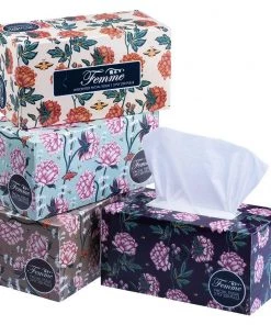 Shoppers Mart - Binondo Household & Laundry Femme Facial Tissue Box 2P 250Pulls