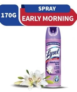 Shoppers Mart - Binondo Lysol Disinfectant Spry Early Mrning Breeze 170g Household & Laundry