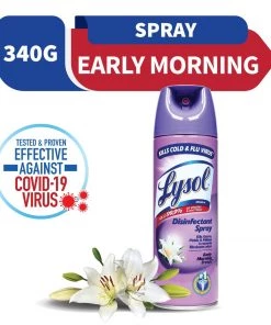 Shoppers Mart - Binondo Household & Laundry Lysol Disinfectant Spry Early Mrning Breeze 340g