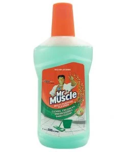 Shoppers Mart - Binondo Mr. Muscle Ap Cleaner Morning Freshness 500mL
